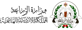 Jordan logo