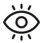 Vision icon